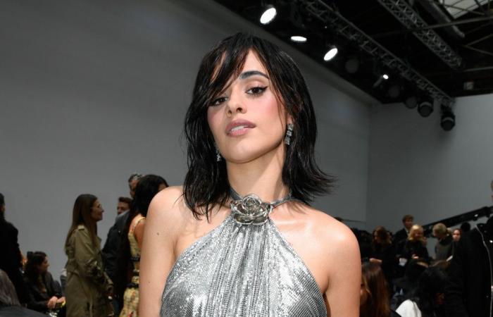 Camila Cabello ammette che l’industria musicale l’ha rafforzata: “Ho costruito un guscio per me stessa”