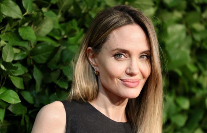 Angelina Jolie non vuole che venga realizzato alcun film biografico sulla sua vita