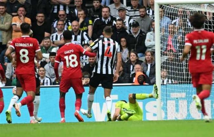 Data delle partite di Liverpool e Newcastle United e canali di trasmissione della Premier League inglese