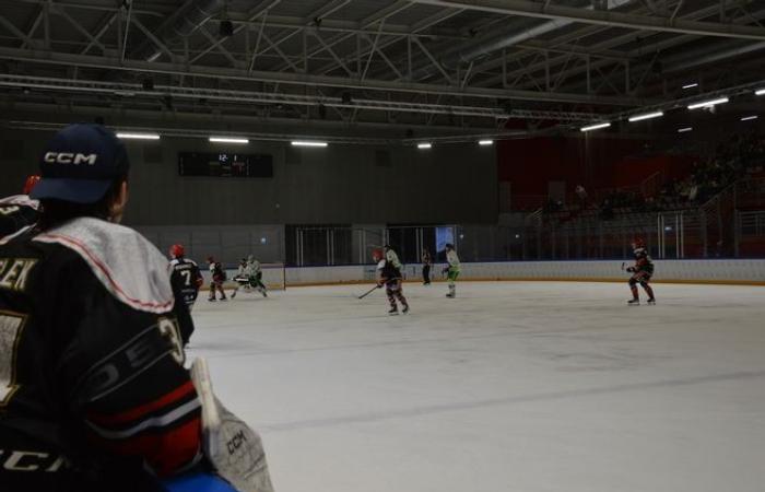 Hockey su ghiaccio: una partita della seconda divisione francese a Dreux: “È un sogno a occhi aperti!”