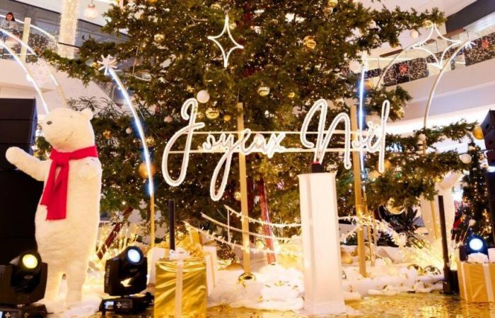 DIGIONE: Il centro commerciale Toison d’or offre “un Natale magico e solidale”