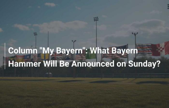 Rubrica “Il mio Bayern”: quale martello del Bayern verrà annunciato domenica?