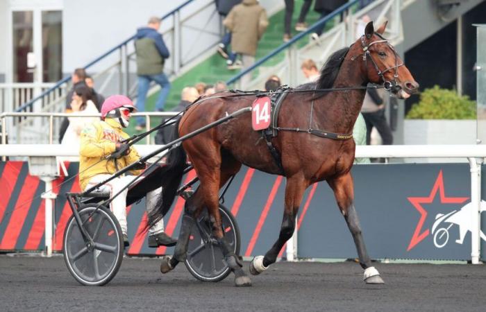 Un campo molto bello nel Ready Cash Prize questa domenica a Vincennes