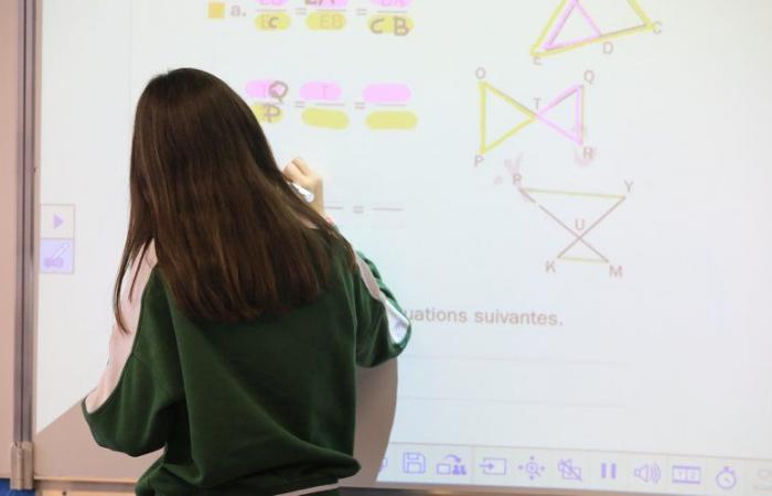 Matematica: gli studenti francesi sono tra i peggiori studenti d'Europa, secondo lo studio internazionale TIMSS