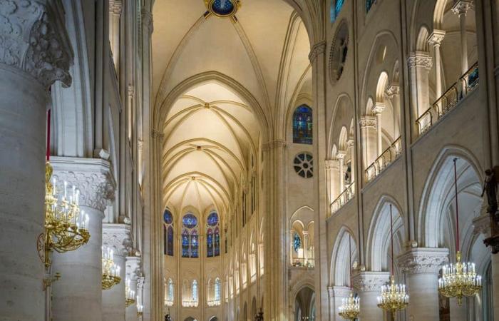 Notre-Dame de Paris: tour visivo degli interni resuscitati