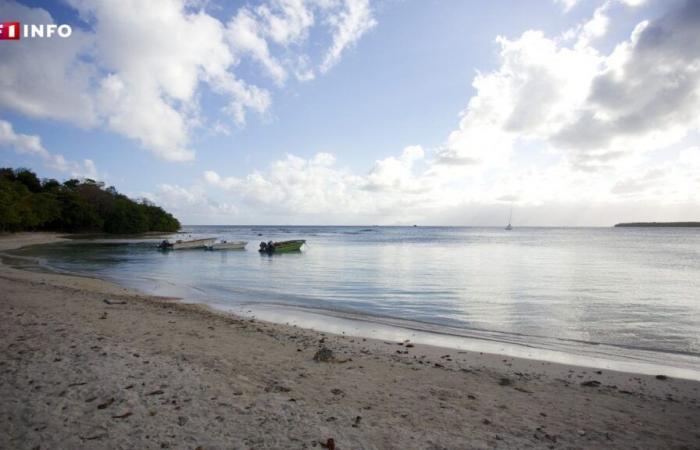 Guadalupa: scoperto il corpo di una donna vicino a una spiaggia, aperta un’inchiesta per omicidio