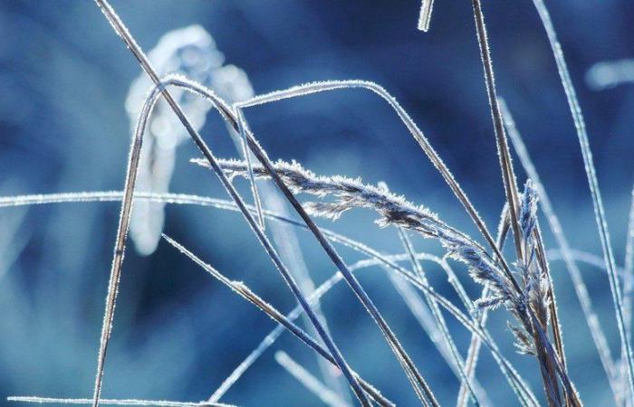 MAPPA. Meteo: nuove gelate previste giovedì mattina nell'Aveyron, in quali città farà più freddo?