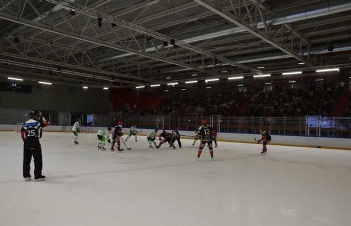 Hockey su ghiaccio: una partita della seconda divisione francese a Dreux: “È un sogno a occhi aperti!”