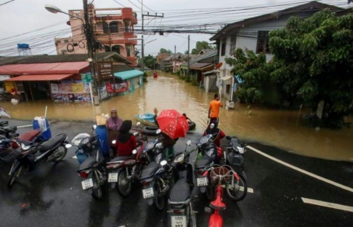 Alluvioni in Thailandia: sale a 29 il bilancio delle vittime