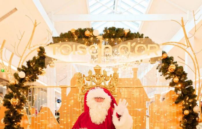 DIGIONE: Il centro commerciale Toison d’or offre “un Natale magico e solidale”