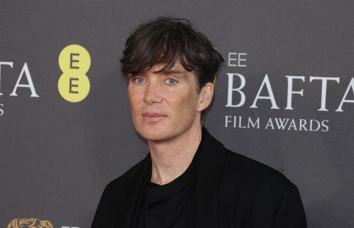 Cillian Murphy, il nuovo Voldemort della serie Harry Potter? Valido Ralph Fiennes