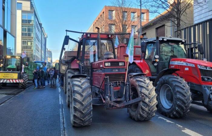 Censura: gli agricoltori dell'Hauts-de-France stanchi e preoccupati per un altro ritorno al punto di partenza