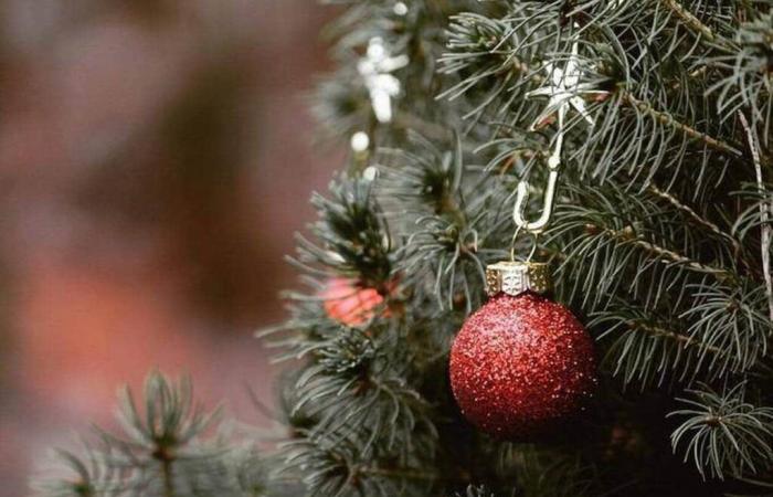 Cos’è la sindrome dell’albero di Natale, questa poco conosciuta allergia al Natale? – Edizione serale della Francia occidentale