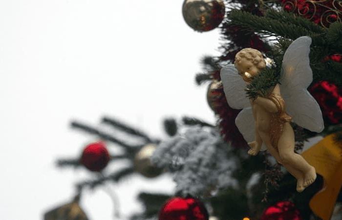 un abete di 2,50 m rubato in mezzo alla strada a Maurois, il sindaco invita il colpevole a restituire l'albero