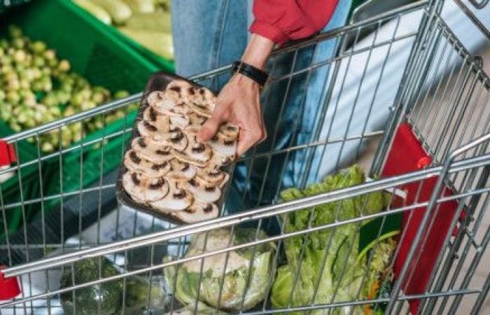 Trenta tonnellate di cibo raccolte a Friburgo