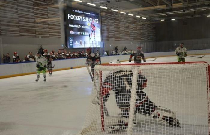 Hockey su ghiaccio: una partita della seconda divisione francese a Dreux: “È un sogno a occhi aperti!”