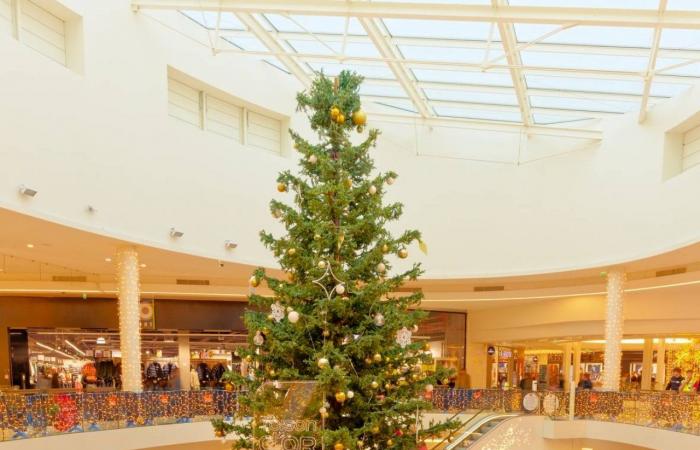 DIGIONE: Il centro commerciale Toison d’or offre “un Natale magico e solidale”