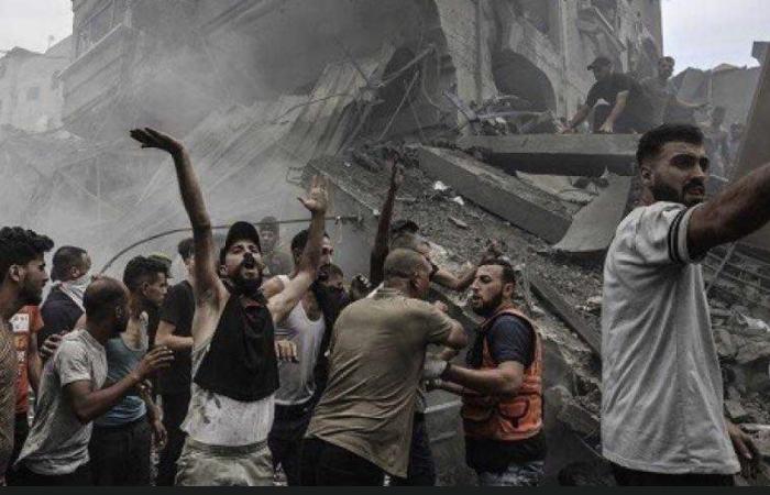 Testimonianze degli abitanti di Gaza: sopravvivenza quotidiana nell’inferno di Gaza – parte 240 / 4 dicembre – Gaza è una macchia sulla coscienza mondiale – International Solidarity Movement