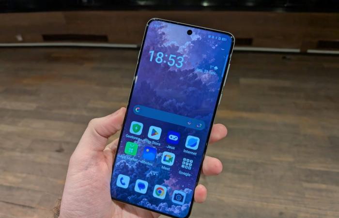 il ritorno di Oppo in Francia ha avuto successo?