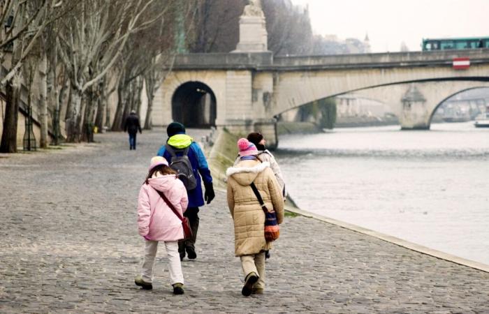 Bollettino meteorologico. Un vento fresco soffierà su Parigi e sull'Île-de-France, con raffiche fino a 70 km/h previste