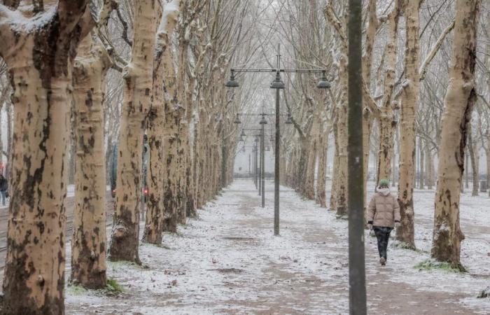 una “discesa dell’aria polare” da domenica, l’inverno lancerà un’offensiva la prossima settimana in Francia