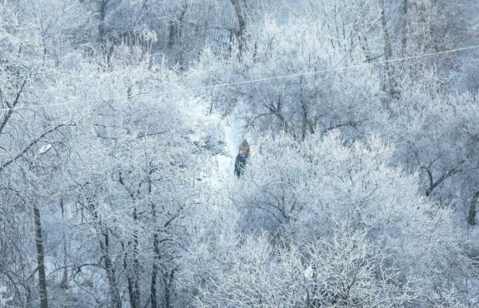 Neve, vento freddo… L'inverno inizierà davvero questo fine settimana