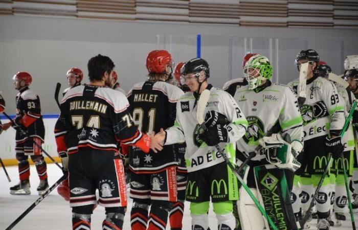 Hockey su ghiaccio: una partita della seconda divisione francese a Dreux: “È un sogno a occhi aperti!”