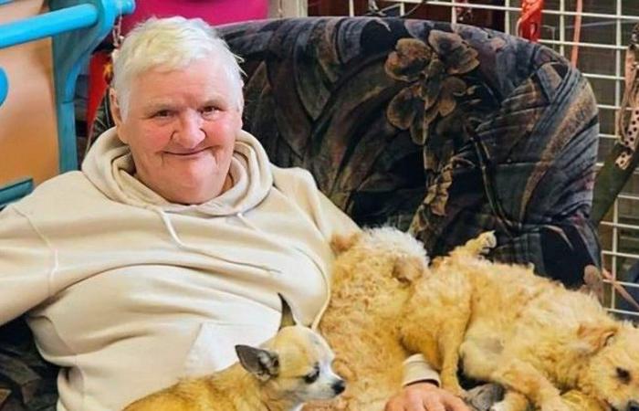 Figura atipica della protezione degli animali nel Lot-et-Garonne, Raymonde è morto