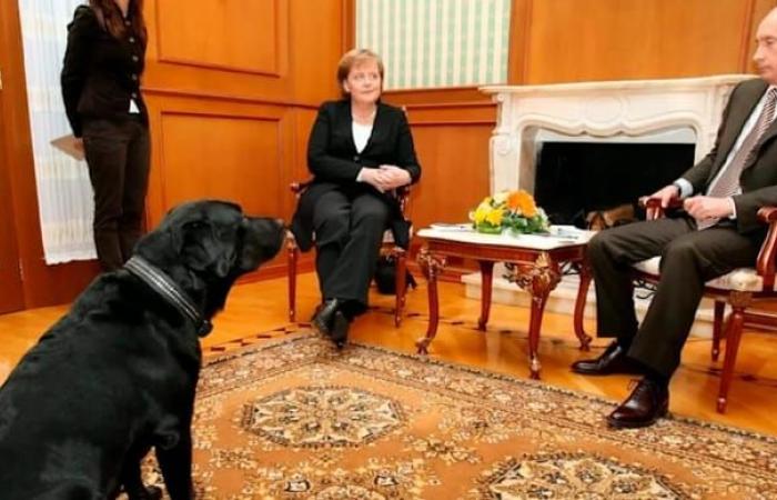 17 anni dopo, il presidente Putin si scusa con la Merkel in seguito all’incidente con il cane