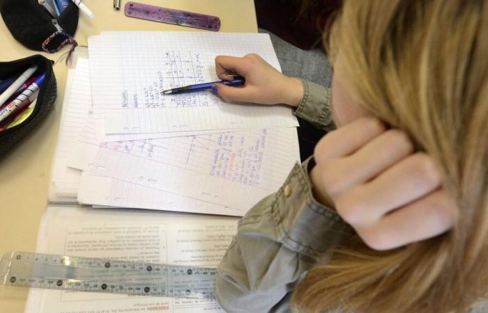 Secondo uno studio internazionale, il livello degli studenti francesi in matematica e scienze è inferiore alla media OCSE ma continua a diminuire