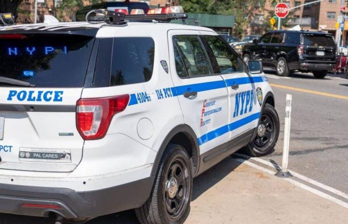 L’amministratore delegato di una delle più grandi compagnie di assicurazione degli Stati Uniti è stato ucciso a colpi di arma da fuoco a New York