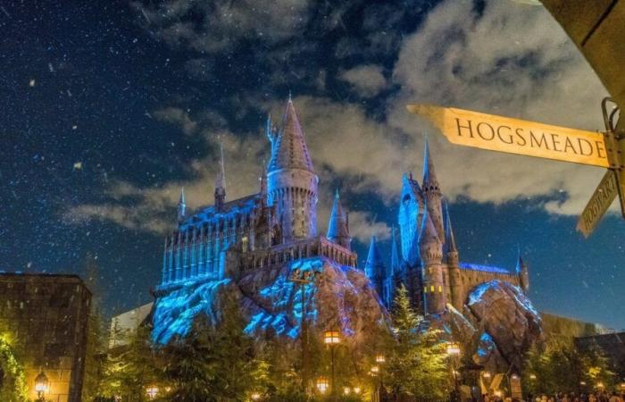 Questo magico evento di Harry Potter arriverà a Lione subito dopo Natale!