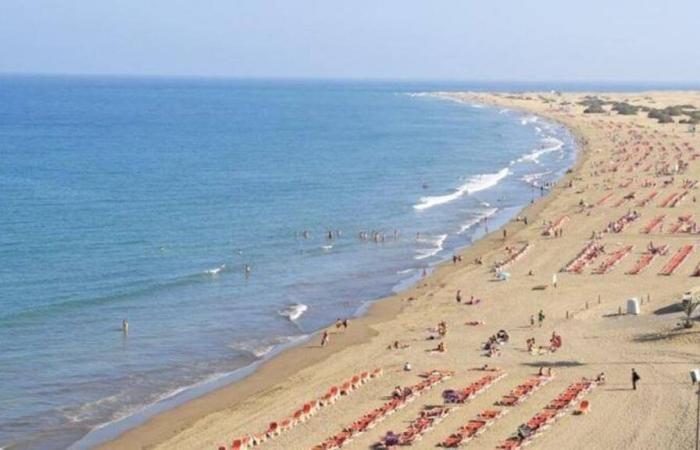 EVENTI A GRAN CANARIA | Indagato per reato temerario l’autista del ‘pick-up’ che ha investito la turista che prendeva il sole a Playa del Inglés