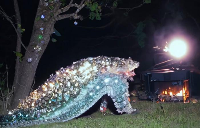 Al Centre Pompidou, Björk mette in guardia dalla crisi climatica