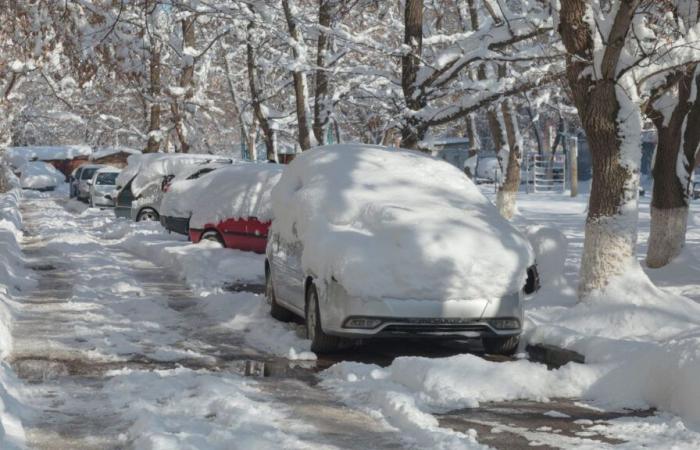 la neve cadrà in pianura questo fine settimana, le previsioni nella tua regione