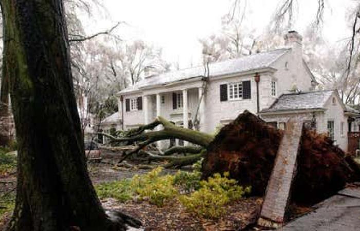 Nella data di oggi: Carolina Ice Storm nella mia mente