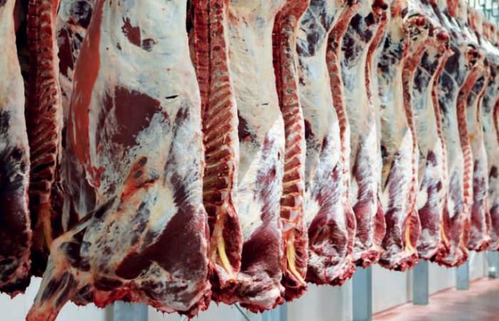 Il governo adotta misure per sostenere il mercato della carne rossa