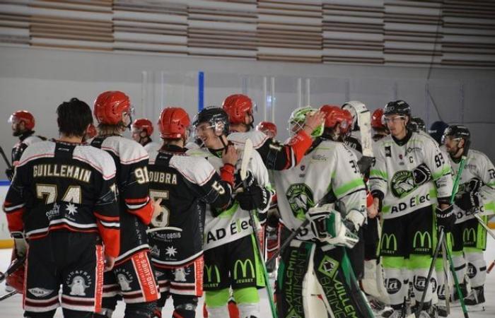 Hockey su ghiaccio: una partita della seconda divisione francese a Dreux: “È un sogno a occhi aperti!”