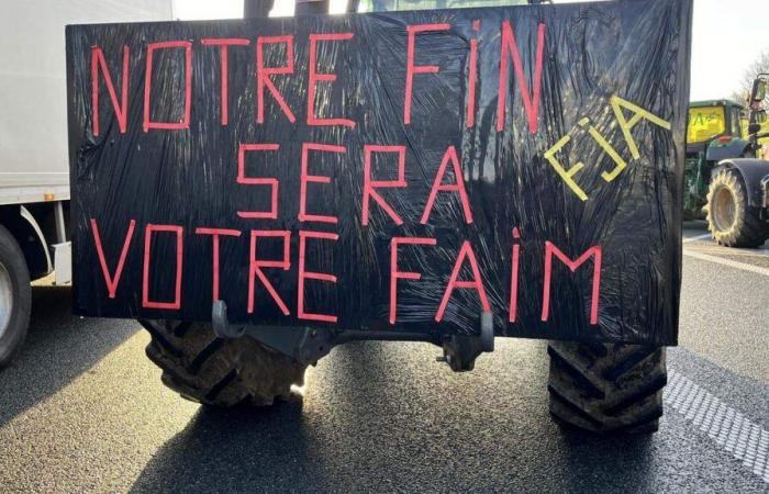 Gli agricoltori belgi bloccano le frontiere: quale impatto per i lavoratori frontalieri?