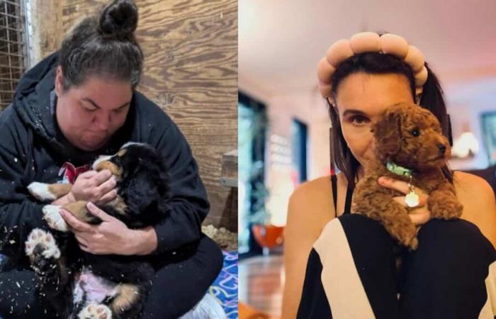 7 celebrità che hanno recentemente adottato un cucciolo