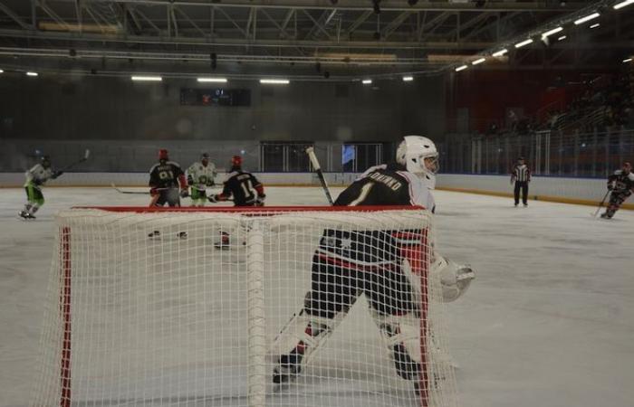 Hockey su ghiaccio: una partita della seconda divisione francese a Dreux: “È un sogno a occhi aperti!”