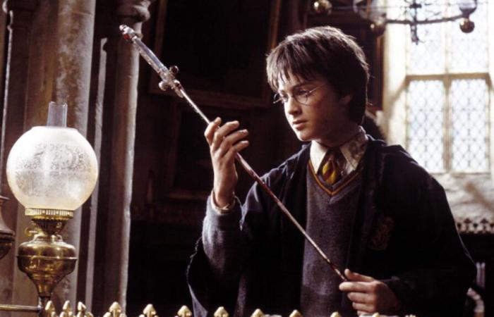 Perché le spade ispirate ai film di “Harry Potter” sono vietate in Giappone