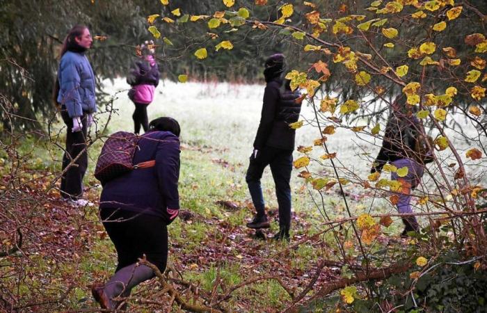 “È il cuore di una madre che parla”: una donna costarmoricana scatena una caccia selvaggia per ritrovare Morgane