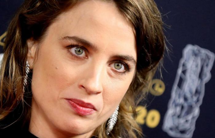 Adèle Haenel: Christophe Ruggia sarà presto giudicato, avrebbe fatto queste orribili ricerche su Internet