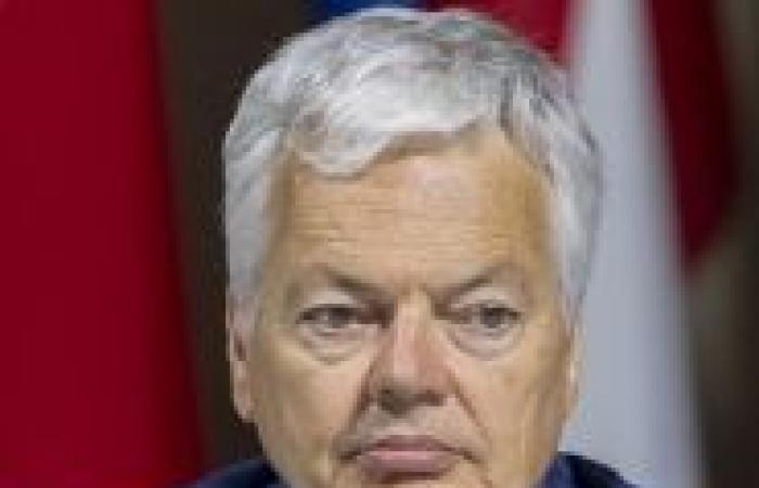 Una possibile revoca dell’immunità per Didier Reynders: come avverrà?