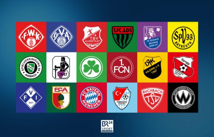 Campionato regionale: FC Augsburg II – FC Bayern II|6 dicembre, ore 19|Streaming