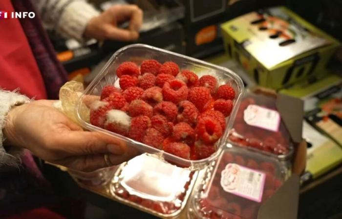 “Non siamo spazzatura!” : le associazioni denunciano il calo di qualità delle donazioni alimentari dei supermercati