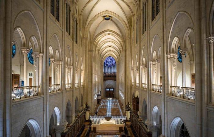 Notre-Dame de Paris: tour visivo degli interni resuscitati