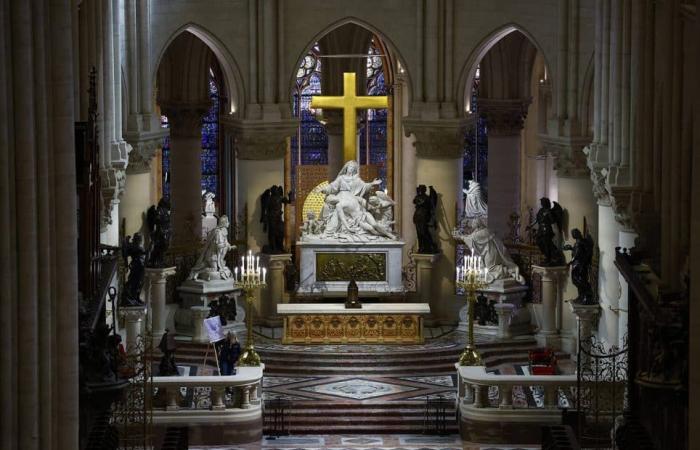 Notre-Dame de Paris: tour visivo degli interni resuscitati