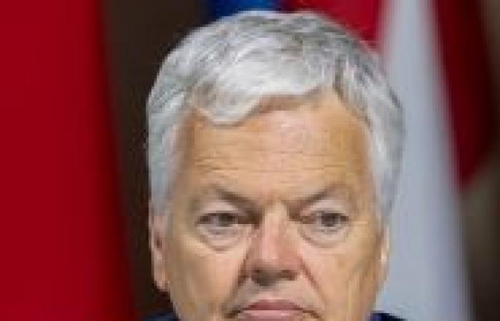 Una possibile revoca dell’immunità per Didier Reynders: come avverrà?